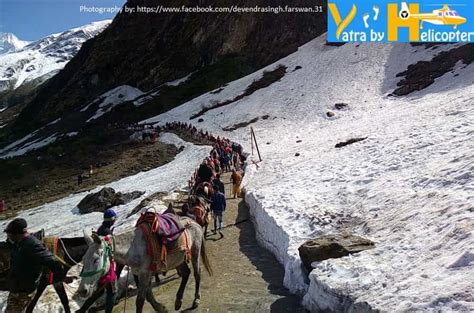 A Complete Trek Guide for Kedarnath Yatra - Kedarnath Trekking Tips