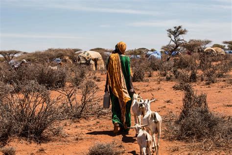 The New Humanitarian | Drought in Africa 2017