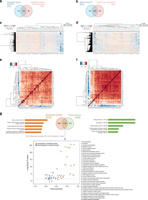 Quantitative proteome analysis indicates spatially distinct protein ...