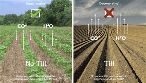 Regenerative Agriculture: Definition, History, & Benefits