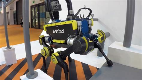 Dog-Like Robot Engineered for Search and Rescue - Videos from The Weather Channel