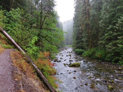 old salmon river trail – wanderingyuncks