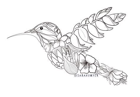 Coloring Book Tropical Hummingbird - FREE Download — Sarah Voyer