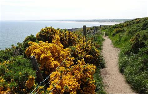 Luxury Holiday Cottages in Ireland, The Cottages