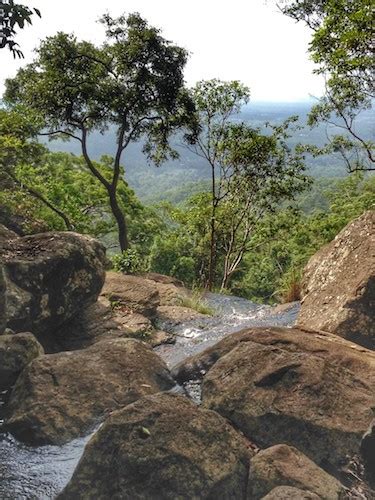 Guide to Mt Tamborine waterfalls incl. a map to plan your visit