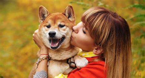 16 Dog Breeds Known for Their Exceptional Affection - SonderLives