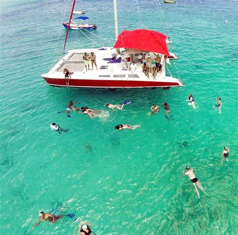 turtles snorkeling catamaran barbados | Catamaran, Sailing charters, Cruise excursions