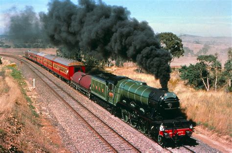 transpress nz: the 'Flying Scotsman' steamer in Australia, 1988