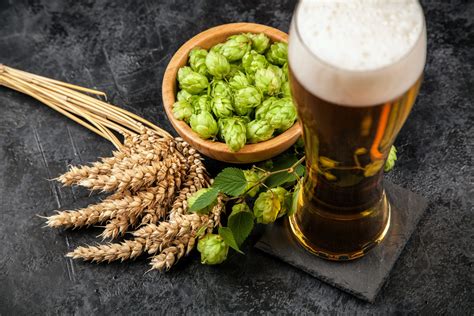 Growing environment impacts the aroma of beer and hops - Earth.com