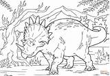 Triceratops coloring Page  Free Printable Coloring Pages sketch template