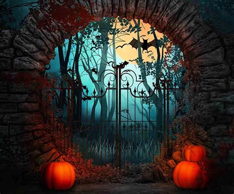 Arch Stone Door And Pumpkin For Halloween Photography Backdrop – Shopbackdrop