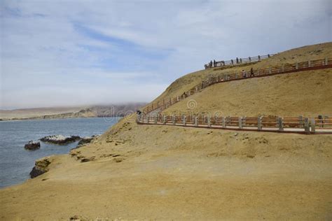 Coastline, Paracas National Reserve. Cliffs in the Paracas National Reserve on the Pacific Coast ...