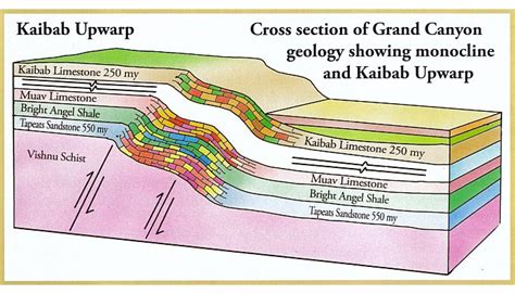 Grand Canyon strata show geologic time is imaginary