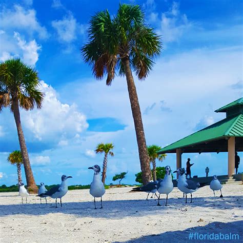 Sunset Beach Tarpon Springs – Florida Balm