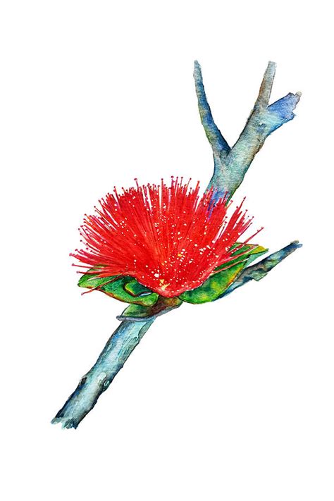 Ohia Lehua Painting by Johanna Schumacher - Fine Art America