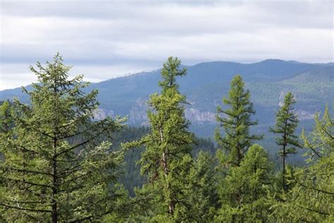 The Whitefish Trail - 2021 All You Need to Know BEFORE You Go | Tours & Tickets (with Photos ...