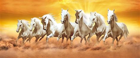 Download 7 White Horses Running Through Brown Mist Wallpaper ...