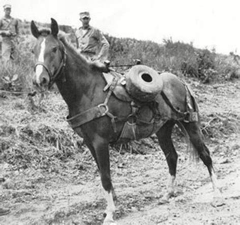 The Outpost War — Korea, 1953 – Fix Bayonets!