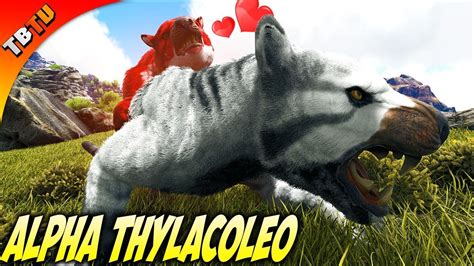 Alpha Thylacoleo Mutations!! NEW MUTATION COLORS! Ark Ragnarok ...