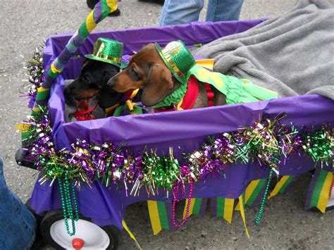 Mardi gras floats can be pretty big. But this one is just two dogs in a ...