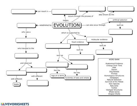 Evolution Review - Interactive worksheet | Evolution concept map, Biology worksheet, Teaching ...