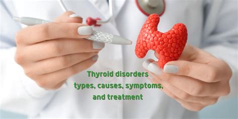 Thyroid disorders types,causes,symptoms,and treatment | Welltopia ...