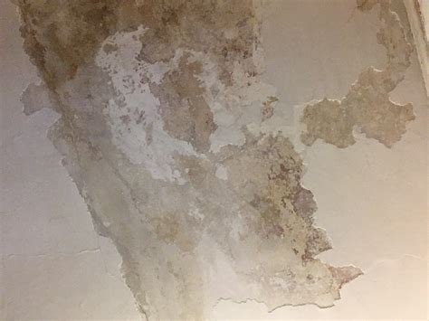 Calcimine? Efflorescence? Plaster Ceiling - Painting - DIY Chatroom ...