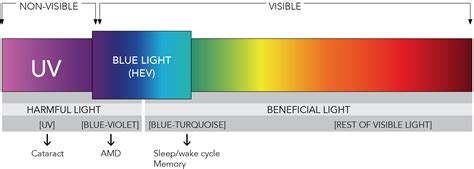 Blue Light: Here's the Facts - Eye Q Optical