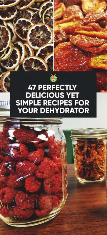 47 Perfectly Delicious Dehydrator Recipes You Will Want to Try