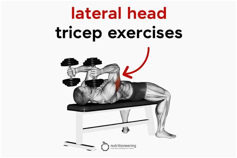 Top 12 Barbell Tricep Exercises For Building Mass Strength, 49% OFF