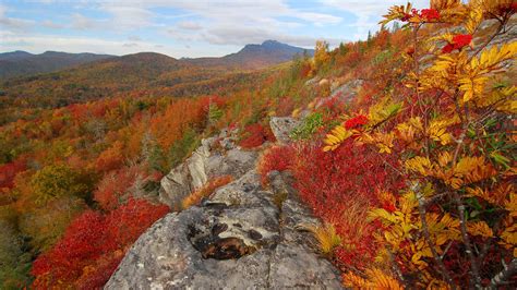 grandfather mountain | "fall color may be at its peak today … | Flickr