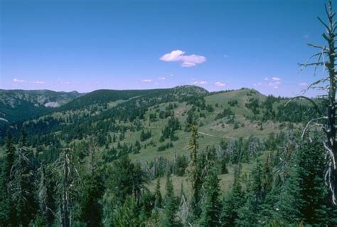 Pendleton, Oregon: Umatilla National Forest photo, picture, image