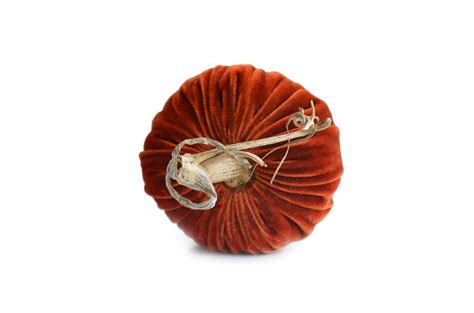 Fall Harvest Home Decorations | Plush Pumpkin