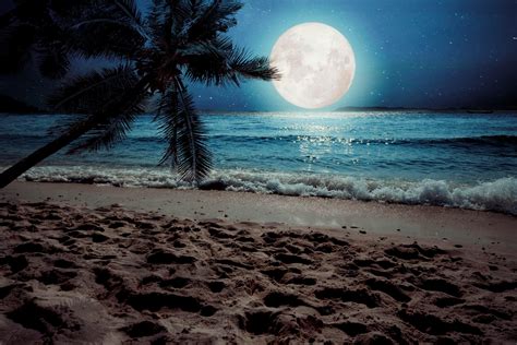 Moon Night Ocean Wallpaper