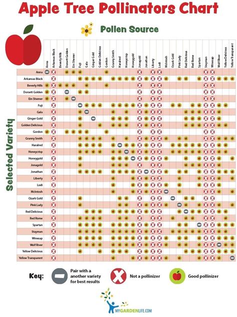 Apple Tree Pollinators Chart