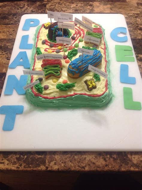 10 Ideal Edible Plant Cell Project Ideas 2024