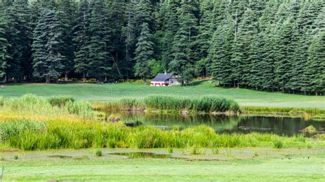 Famous Khajjiar Lake is Situated in Chamba District of Himachal Pradesh ...