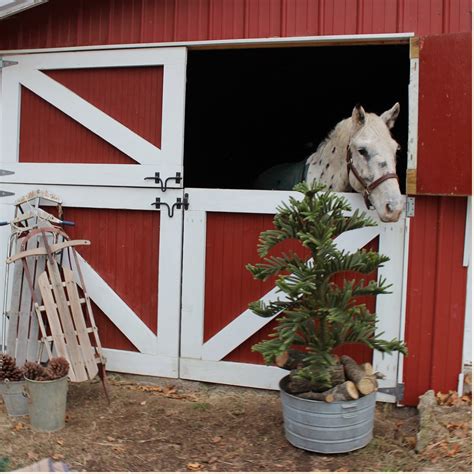 14 Ideas for Stylish Horse Christmas Decorations | Hawk Hill