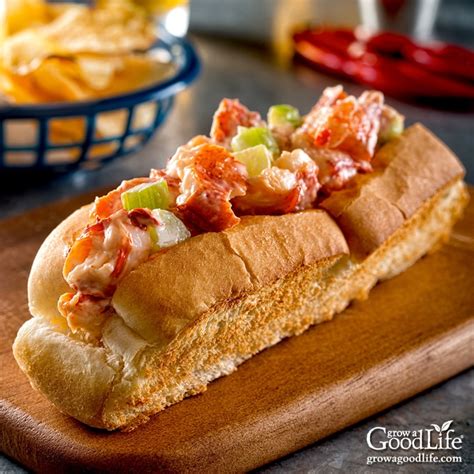 Maine Lobster Roll Recipe