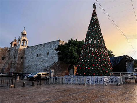 COVID -19: Christmas tree-lighting in Bethlehem a muted, virtual event amid pandemic | News ...