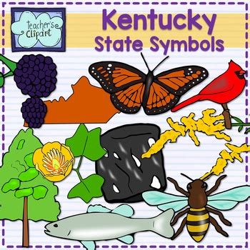 Kentucky state symbols clipart by Teacher's Clipart | TpT