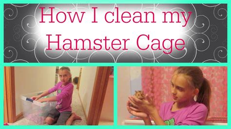 HOW I CLEAN MY HAMSTER CAGE - YouTube