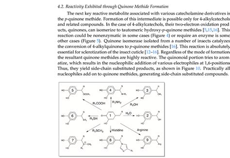 Further reactions of hydroxy catechols and amino catechols. Both ...