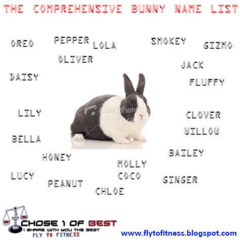 Fly To FiTnesS: Bunny names - The Secret about bunny