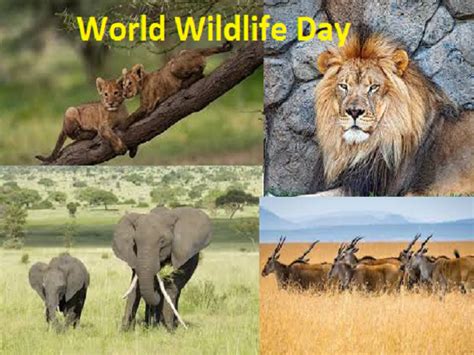 World Wildlife Day 2021: Current Theme, History, Significance, and Key Facts