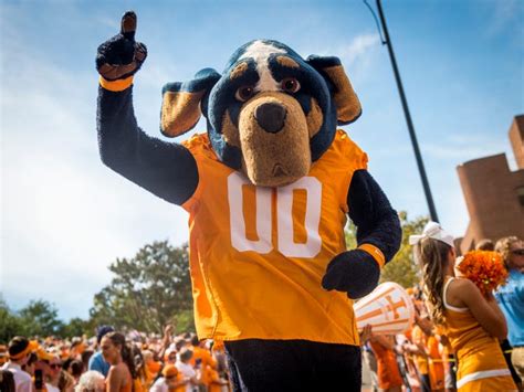 University of Tennessee Smokey mascot through the years