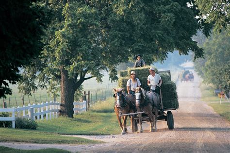 Discover the Fascinating World of the Amish in Northern Indiana | NITDC