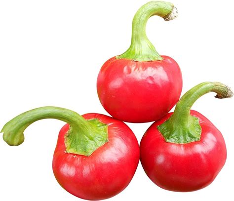 Cherry BOMB Pepper 10 Seeds -Samenchilishop-Seeds- -Over 1.500.000 Scoville-: Amazon.ca: Patio ...