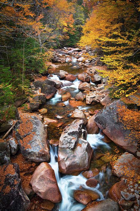 Flume Gorge In Autumn Photograph by Eric Gendron