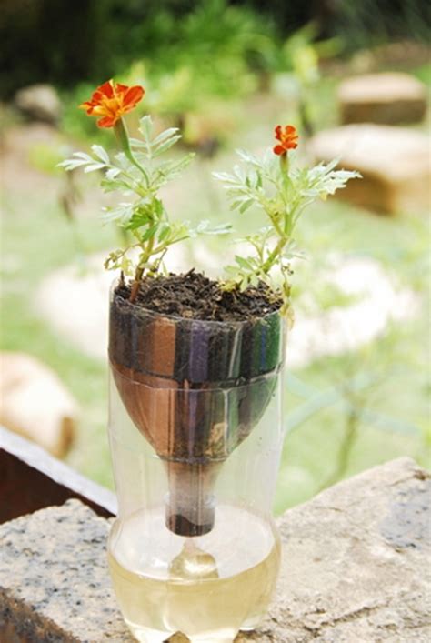 DIY Self-Watering Seed Starter Pot Planter